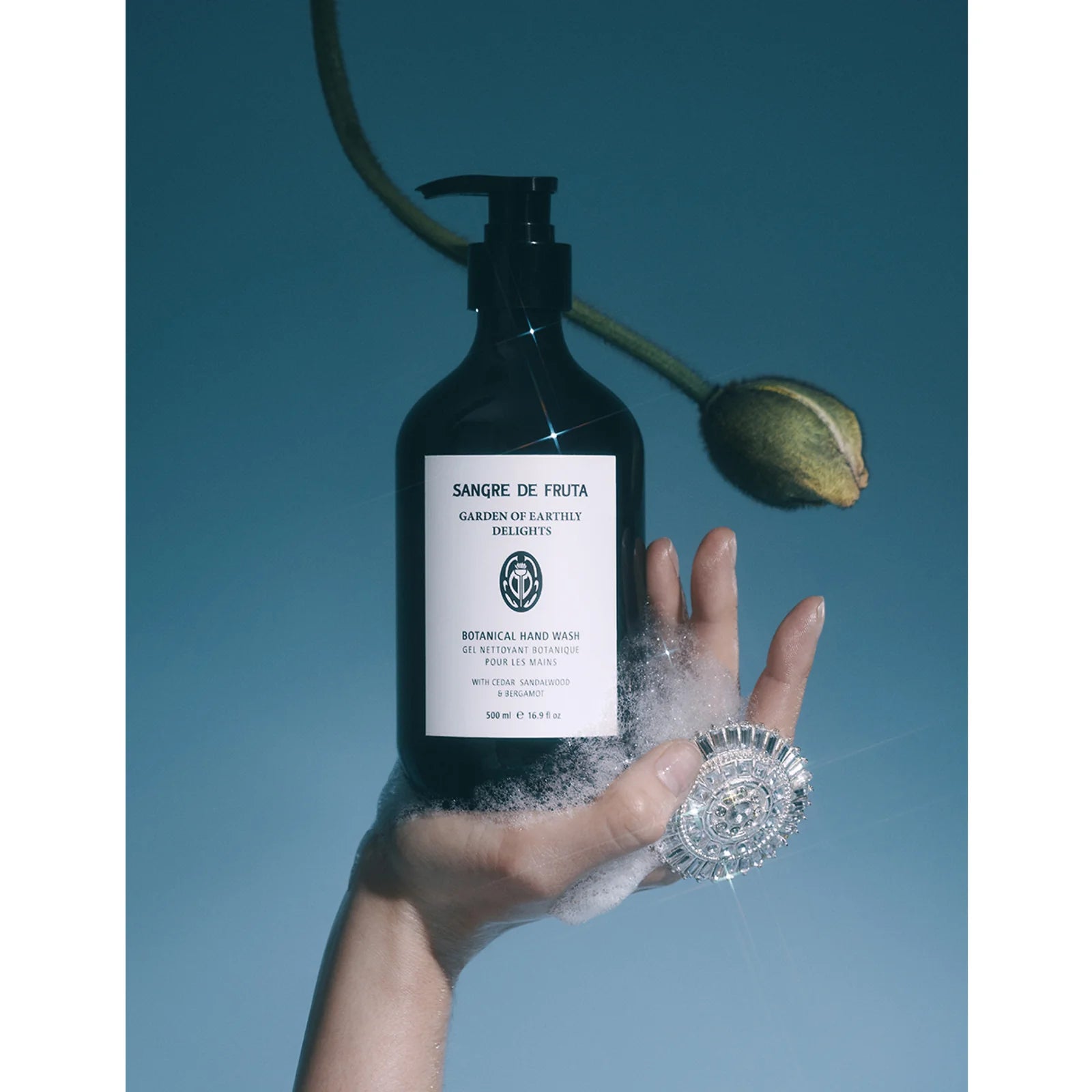 Sangre De Fruta - Botanical Hand Wash 500ml